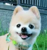 Profile picture for user editor