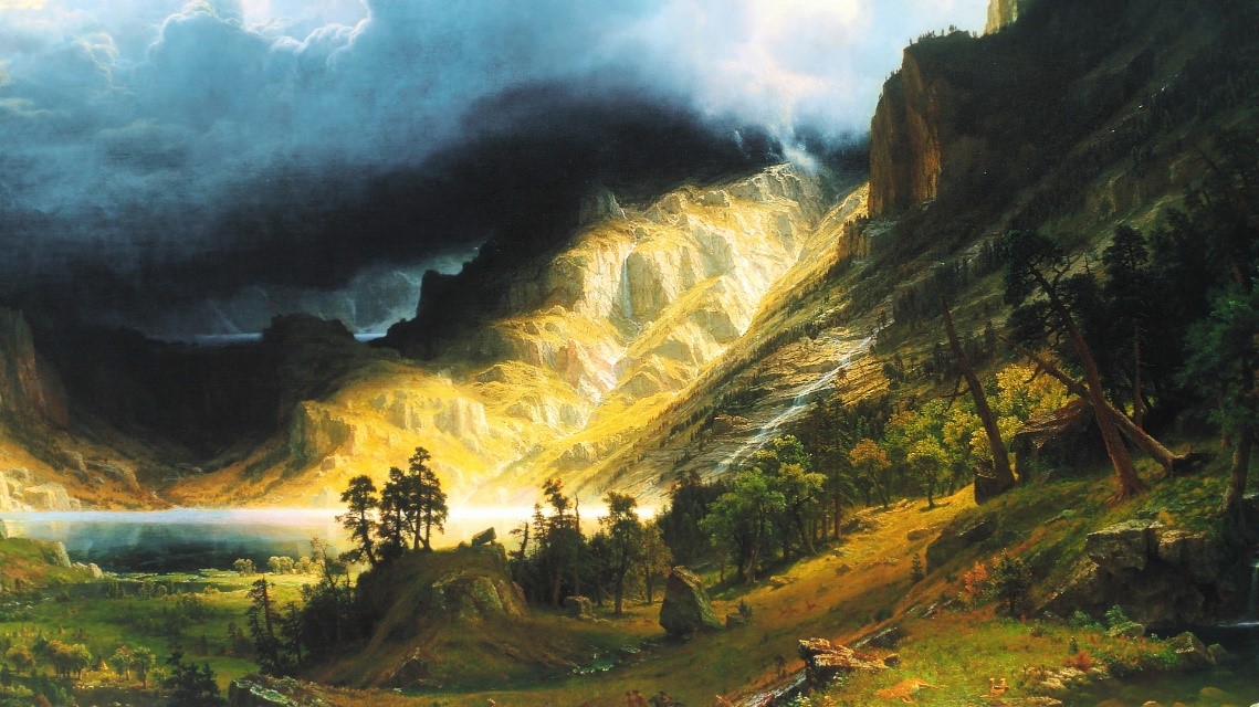 1668059511708666.jpg 3.jpg