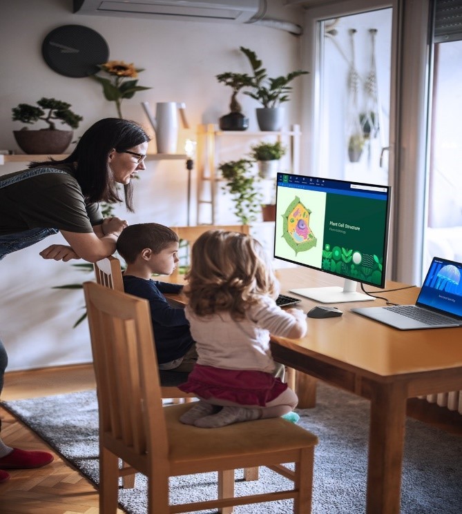 1741313841541476.jpg 7.jpg